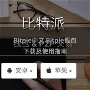 Bitpie中文 Bitpie钱包下载及使用指南