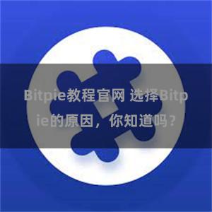 Bitpie教程官网 选择Bitpie的原因，你知道吗？