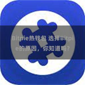 Bitpie热钱包 选择Bitpie的原因，你知道吗？