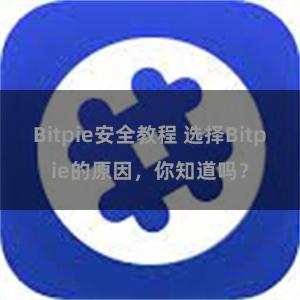 Bitpie安全教程 选择Bitpie的原因，你知道吗？