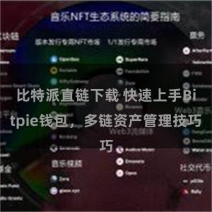 比特派直链下载 快速上手Bitpie钱包，多链资产管理技巧