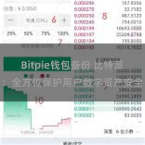 Bitpie钱包备份 比特派：全方位保护用户数字资产安全