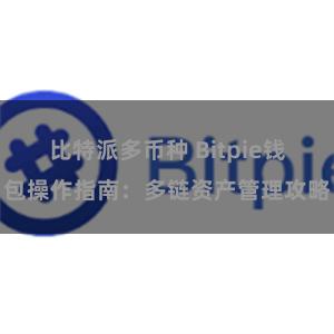 比特派多币种 Bitpie钱包操作指南：多链资产管理攻略