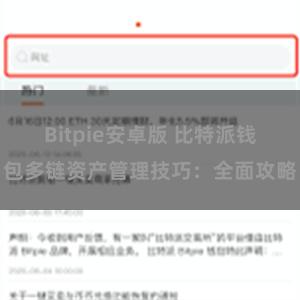 Bitpie安卓版 比特派钱包多链资产管理技巧：全面攻略