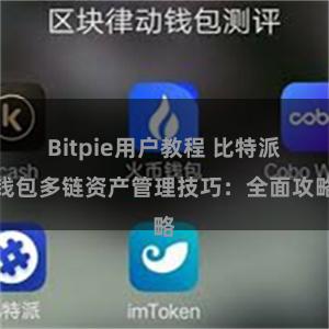 Bitpie用户教程 比特派钱包多链资产管理技巧：全面攻略