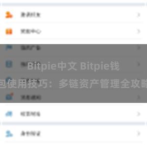 Bitpie中文 Bitpie钱包使用技巧：多链资产管理全攻略