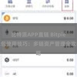 比特派APP直链 Bitpie钱包使用技巧：多链资产管理全攻略