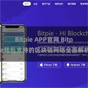 Bitpie APP官网 Bitpie钱包支持的区块链网络全面解析