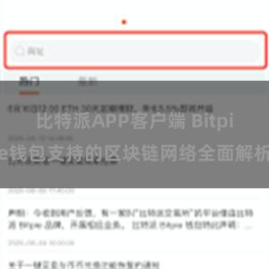 比特派APP客户端 Bitpie钱包支持的区块链网络全面解析