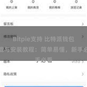 Bitpie支持 比特派钱包下载与安装教程：简单易懂，新手必看