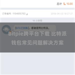 Bitpie跨平台下载 比特派钱包常见问题解决方案