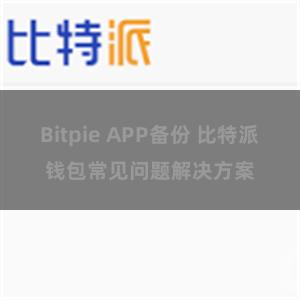 Bitpie APP备份 比特派钱包常见问题解决方案