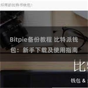 Bitpie备份教程 比特派钱包：新手下载及使用指南