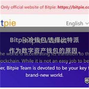 Bitpie冷钱包 选择比特派作为数字资产钱包的原因。