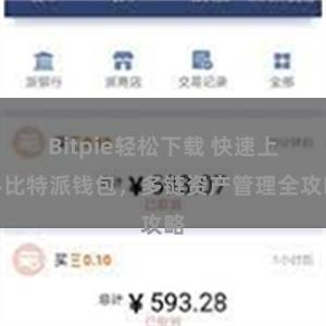 Bitpie轻松下载 快速上手比特派钱包，多链资产管理全攻略