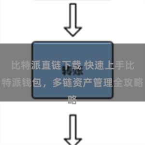 比特派直链下载 快速上手比特派钱包，多链资产管理全攻略