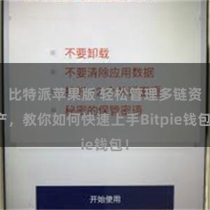 比特派苹果版 轻松管理多链资产，教你如何快速上手Bitpie钱包！