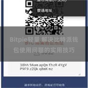 Bitpie轻量 解决比特派钱包使用问题的实用技巧