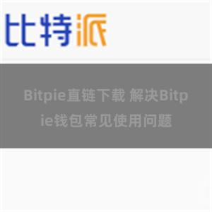 Bitpie直链下载 解决Bitpie钱包常见使用问题