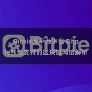 Bitpie跨平台下载 Bitpie钱包支持的区块链网络解析