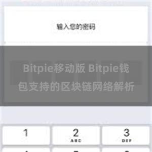 Bitpie移动版 Bitpie钱包支持的区块链网络解析