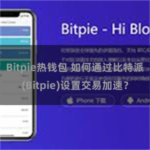 Bitpie热钱包 如何通过比特派(Bitpie)设置交易加速？