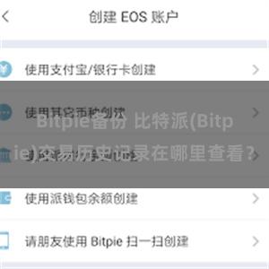 Bitpie备份 比特派(Bitpie)交易历史记录在哪里查看？