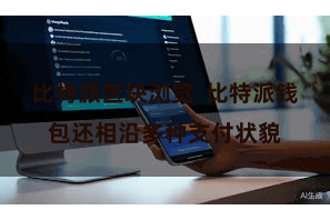 比特派区块浏览  比特派钱包还相沿多种支付状貌