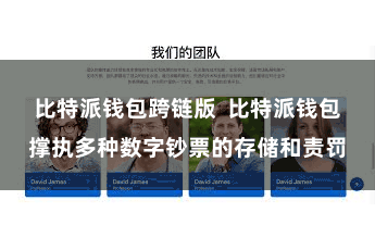 比特派钱包跨链版  比特派钱包撑执多种数字钞票的存储和责罚